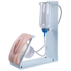 American 3B Scientific BASIC Female Catheterization Simulator - P93 BASIC Female Catheterization Simulator - P93B-F