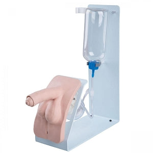 American 3B Scientific BASIC Male Catheterization Simulator - P39 BASIC Male Catheterization Simulator - P93B-M