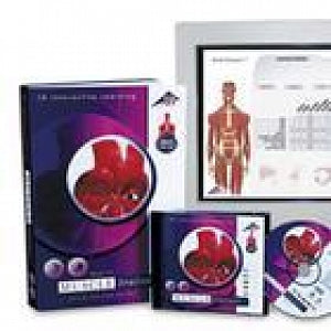 American 3B Scientific 3B Muscle Trainer on CD-ROM - Muscle Trainer, 1.0 Cd - S0002-1.0