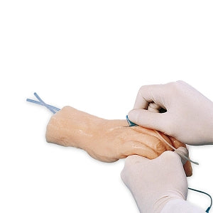 by American 3B Scientific Injection Training Hand - Injection Training Hand - W43035