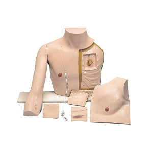 American 3B Scientific Chester Chest With New Advanced Arm - Chester Chest with Advanced Arm - W46507/1