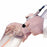 Argos Technologies HandE-Vac Handheld Aspirator - HandE-Vac Hand Operator with Single-Channel Adapter - EV514