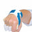 AliMed Palm Guard with Finger Separators and Roll - Palm Guard with Finger Separators, Right Hand - 510428/NA/RT