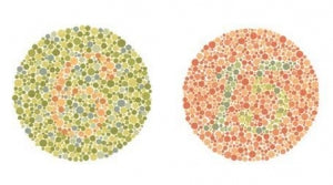 Alined Ishihara Color-Blindness Test - Ishihara Test Chart - 73376