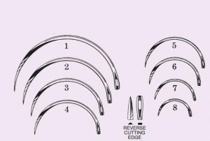 Anchor Products Martin Uterine Suture Needles - Martin Uterine Needle, Reverse Cutting, 1/2 Circle, Size 1 - 1860-1DC