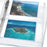 Avery Mixed Format Photo Pocket Page - Photo Pocket Pages, Holds Four 4" x 6" Horizontal Photos, 3-Hole Punched - 13406