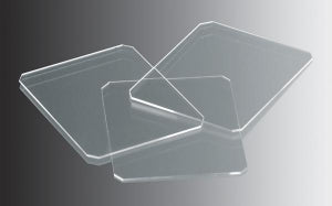 Azer Scientific Square Glass Covers - COVER GLASS, NO-1, 22MM, 1 OZ / PACK - 112222