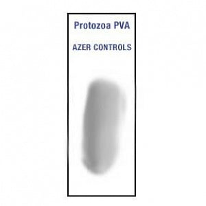 Azer Scientific Protozoa Control Slides - SLIDE, CNTRL, PROTOZOA, W/COPPER PVA, 10/BX - ESCS-132