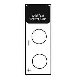 Azer Scientific Acid Fast Stain Control Slides - SLIDE, CONTROL, ACID FAST STAIN, 10/BX - ESCS-136