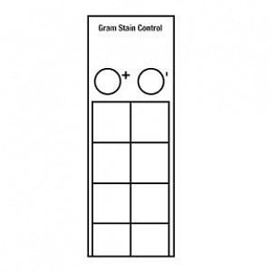 Azer Scientific Gram Stain Control Slides - SLIDES, CONTROL, STAIN, GRAM, 10/BX - ESCS-140