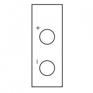 Azer Scientific Microsporidia Control Slides - SLIDES, CONTROL, MICROSPORIDIA, 10/BX - ESCS-143