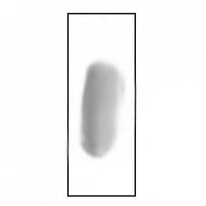 Azer Scientific Unstained PVC Smear - SLIDE, UNSTAINED, PVA, E. HARTMANNI, 5/BX - ESCS-149