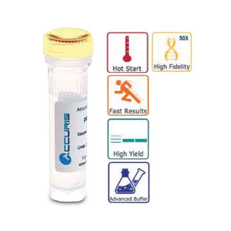 Accuris High Fidelity DNA Polymerase 200 units