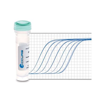 Accuris qMax Green Low Rox qPCR Mix 500 reactions