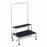 Blickman Stainless Steel Footstool with Handrail - Stainless Steel MRI Foot Stool with Handrail, 2 Step - 7763MR-HR