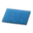 Bio Plas Biopsy Pads - PADS, BIOPSY, 1X1.25", BLUE - 6120