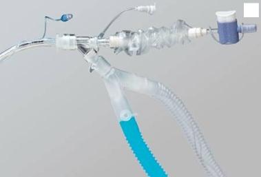 Closed Suction Catheters for Verso Airwa by BD