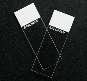 Cardinal Health SP Brand Superfrost / Colorfrost Slides - Superfrost Plus Slides, 3" x 1" x 1.2 mm, White - M6131