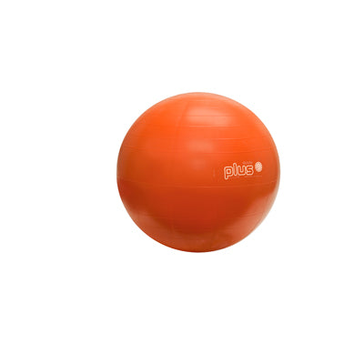 Inflatable Exercise Balls and Rolls