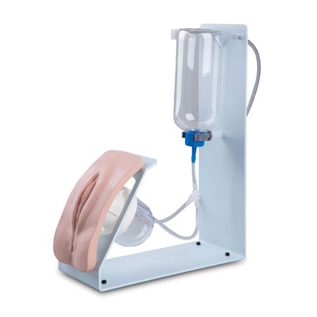 Basic Catheterization Simulator Male