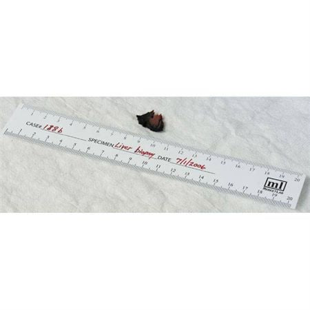 Bio-Ruler Bio-Ruler - Paper - 20 pads