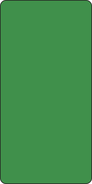 Color: Green Dimension: 1" X 2" 250/Roll