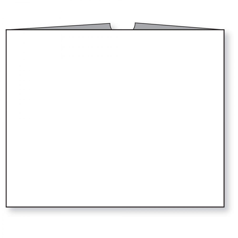 White, Kraft Stock 250/Case 10 1/2" X 12 1/2"