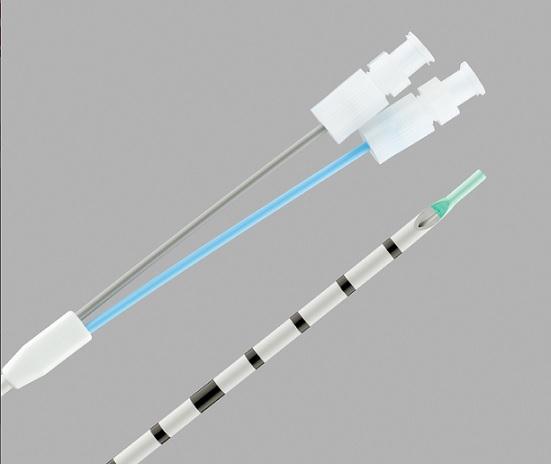 Dual Lumen Ureteral Access Catheters by Cook