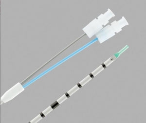 Cook Dual Lumen Ureteral Access Catheters - Ureteral Catheter, Access - G17560