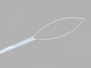 Cook Inc AcuSnare One Piece Disposable Snares - Polypectomy Snare Acusnare, Reference No. AS-1-S - G22629