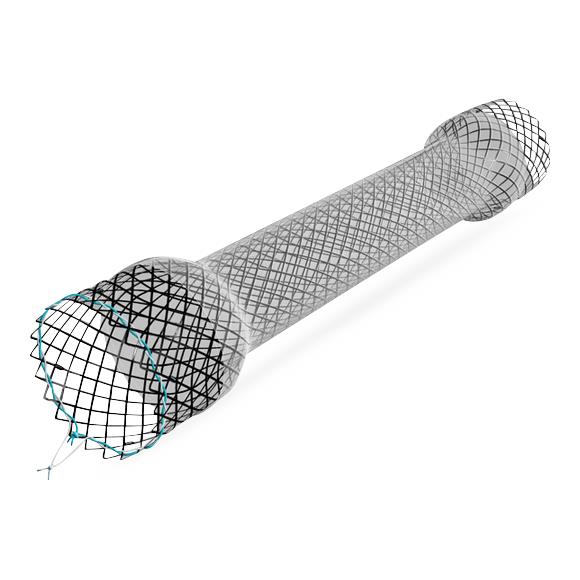 Cook Evolution Esophageal Controlled-Release - Evolution Esophageal Stent, 12.5 cm - G48032