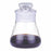 DWK Kimble Specific Gravity Bottle - Specific Gravity Bottle, Hubbard-Carmick, 25 mL - 15113-25