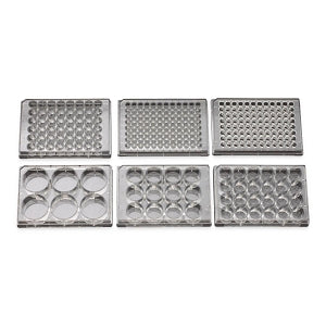 Celltreat Tissue Culture Plates With Lids - Tissue Culture Plate With Lid, Sterile, Treated, 6-Well - 229105