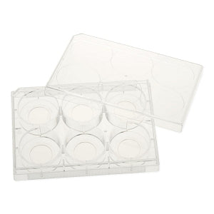 Celltreat Glass-Bottom Tissue Culture Plates - Glass-Bottom Tissue Culture Plate, With Lid, Sterile, 6-Well - 229107