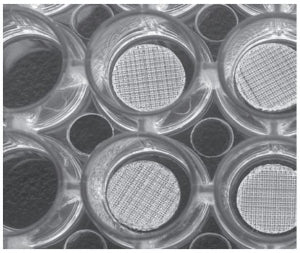 Celltreat Scientific Strl Well Plate Scaffolds - 6 WELL PLATE W/3 3D PS SCAFF, 150/200, ST - 206031520