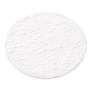 Celltreat Glass Fiber Filter Disks - Glass Fiber Filter Disk, Binder-Free, Sterile, 1.0µm, 50mm diameter - 230730