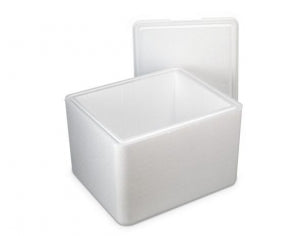 Cold Chain KoolTemp EPS Molded Insulated Container - KoolTemp EPS Insulated Container, 8" x 8" x 8" - KT888-CISU