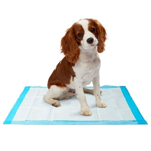 Medline Dr. Dunley Dog and Puppy Training Pads - Dr. Dunley Dog and Puppy Training Pads, 23" x 24" - DDPAD2324