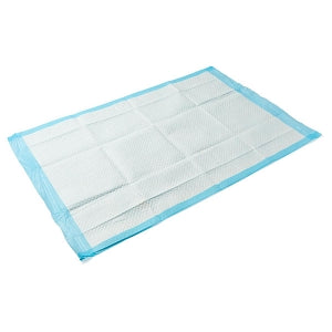 Medline Dr. Dunley Dog and Puppy Training Pads - Dr. Dunley Dog and Puppy Training Pads, 23" x 36" - DDPAD2336