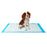 Medline Dr. Dunley Dog and Puppy Training Pads - Dr. Dunley Dog and Puppy Training Pads, 23" x 36" - DDPAD2336