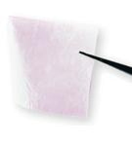 Derma Sciences AMNIOEXCEL Allograft Membrane - AmnioExcel Allograft Membrane, 12 mm Disc - 25012