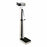 Detecto Mechanical Eye-Level Physician Scales - Mechanical Physician Scale with Height Rod, Weight Capacity 400 lb. (175 kg) - 349