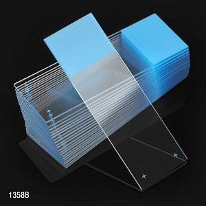 Globe Scientific Cavity Well Microscope Slides - SLIDE, 90DEG, GROUND EDGE, PLUS, FROST, BLUE - 1358