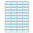 Label Laser Piggyback Paper Permanent 4 1 3/4" X 3/4" White With Blue 44 Per Sheet, 250 Sheets Per Box