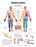 North Coast Medical Anatomical Wall Charts, Vinyl-Laminated