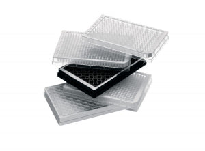 Eppendorf Microplate 96/U-PP Barcode - MICROPLATE 96/U-PP BARCODE PCR 80 PCS. - 30609204