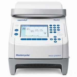 Eppendorf Mastercycler Nexus Gradient - MASTERCYCLER NEXUS GRADIENT, 120V/50-60HZ - 2231000146