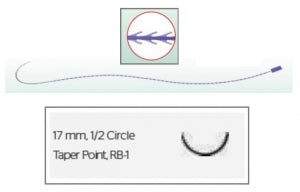 Ethicon Stratafix PDS Wound Closure System - Stratafix Spiral PDS Suture, Violet, Size 4-0, 15 cm, RB-1 Needle - SXPP1B427