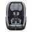 Evenflo Titan 65 Convertible Car Seat - Titan 65 Convertible Car Seat - 3711198