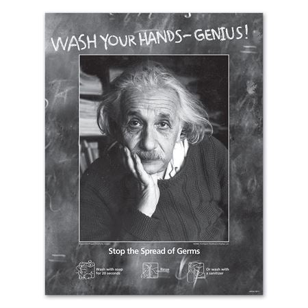 11"H x 14"W Einstein - Wash Your Hands